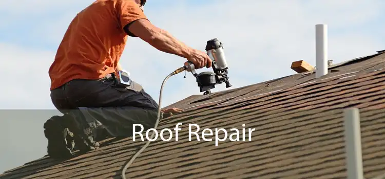 Roof Repair 